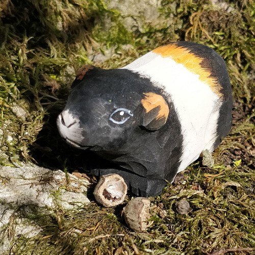 WUDIMALS Guinea Pig